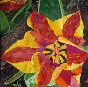 Red and yellow striped tulip collage