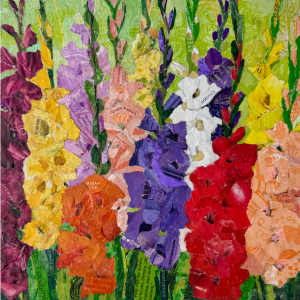 gladioli 300x300