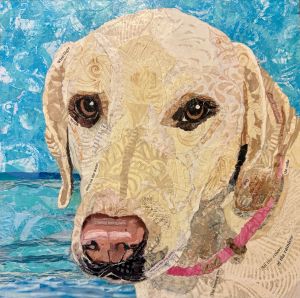 portrait of an English cream retriever