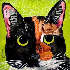collage of a black and tan cat