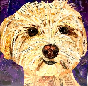 collage of a fluffy white dog