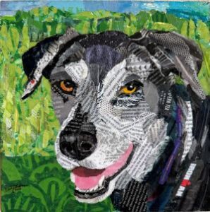collage of a black and grey hound dog
