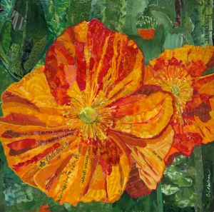 Orange poppies collage