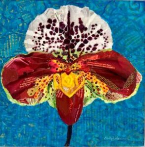 Ladyslipper orchid collage