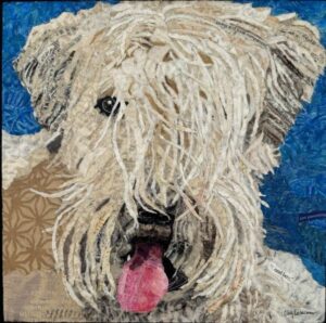 pet portrait of a wheaton terrier dog