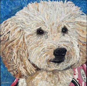 pet portrait of a white dog