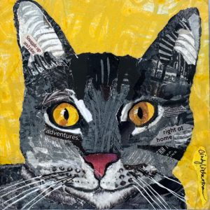 collage of a grey cat