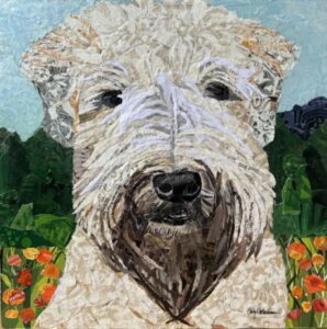 Collage portrait of a fluffy white dog with a brown beard outdoors