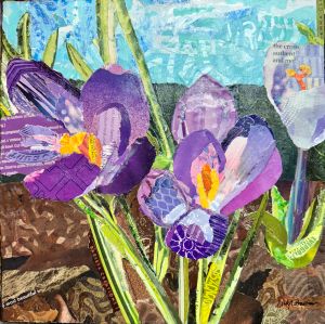 purple crocus flowers collage