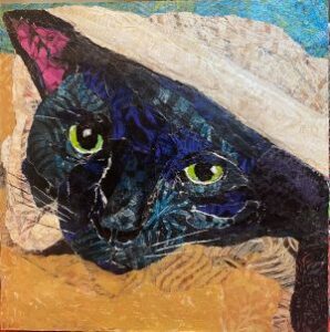 collage of a black cat under a blanket