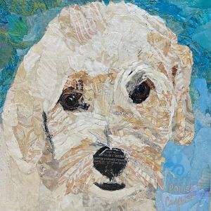 collage of a white dog on a blue background