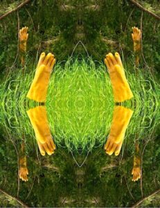 Yellow rubber gloves in the woods
