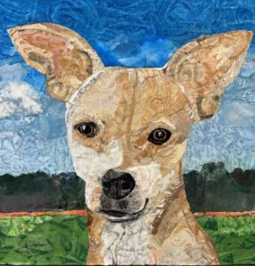 Pet portrait of a tan chihuahua with big ears