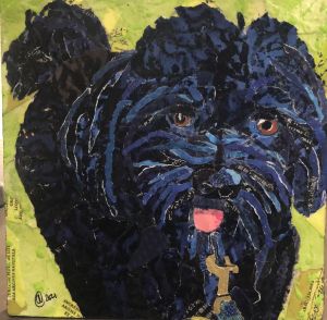 Collage of a black fluffy dog