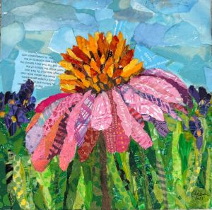 pink purple coneflower collage